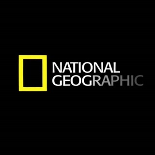 Логотип телеграм канала @natgeo_tg — National Geographic