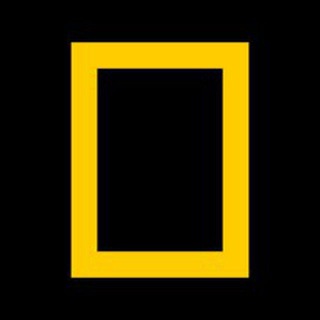 Logo of telegram channel natgeoall — National Geographic™