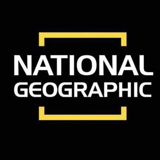 Логотип телеграм канала @natgeohub — National Geographic