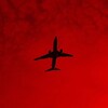 Логотип телеграм канала @natgeotashkent — hedonism по-узбекски