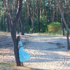 Логотип телеграм -каналу nathalieorchid — На крилах мрії. Nathalie Orchid