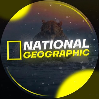 Логотип телеграм канала @nationai_geographic — National Geographic