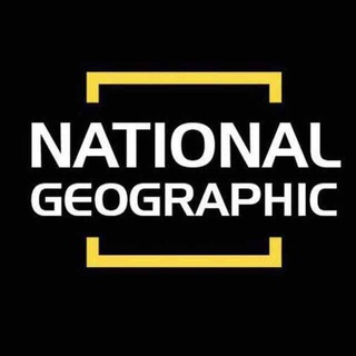 Telegram kanalining logotibi national_geographic_magazines — National Geographic | magazines