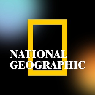 Логотип телеграм канала @national_geographic_priroda — National Geographic