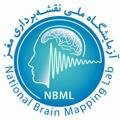 Logo saluran telegram nationalbrainmappinglab — National Brain Mapping Lab