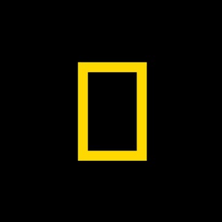 Логотип телеграм канала @nationalgeographic_official — National Geographic