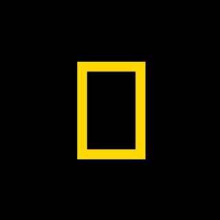 Логотип телеграм канала @nationalgeographic_official — National Geographic