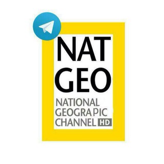 Logo of telegram channel nationalgeographicchannel — National Geographic