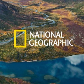 Логотип телеграм канала @nationalgeographict — National Geographic T