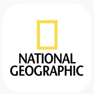 Логотип телеграм -каналу nationalgeographicukr — National Geographic