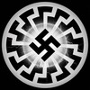 Logo of telegram channel nationalsocialistvault1 — National Socialist Vault
