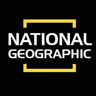 Логотип телеграм канала @nationgeographic1 — Nation geographic