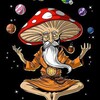 Logo of telegram channel nationwide_psychedelics — 𝐍𝐚𝐭𝐢𝐨𝐧𝐰𝐢𝐝𝐞-🌐-𝐏𝐬𝐲𝐜𝐡𝐞𝐝𝐞𝐥𝐢𝐜𝐬🍄