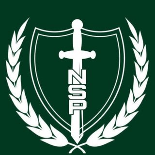 Logo des Telegrammkanals nationzumschwert - Neue Stärke Partei