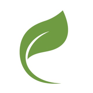 Логотип телеграм канала @native_english_online — Native English | Английский язык онлайн
