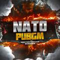 Telegram channel ❤️‍🔥NATO PUBGM❤️‍🔥 logo