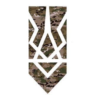 Логотип телеграм -каналу natscorps_zt — НК— Житомирщина