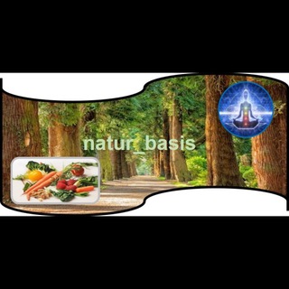 Logo des Telegrammkanals natur_basis - natur_basis: Entgiftung, Darmgesundheit und Nährstoffwissen