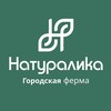 Логотип телеграм канала @naturalika18 — Натуралика