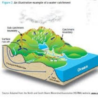 لوگوی کانال تلگرام naturalresources — The Largest and the Most Specialized Natural Habitats Channel in Iran (TLAMSNRCI)