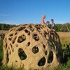 Логотип телеграм канала @naturalschool — naturalschool