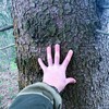Логотип телеграм канала @naturaltechnologies — 🌳Природные Технологии | Управление Экосистемами♻️