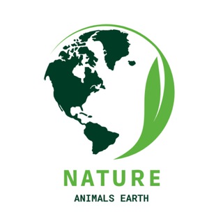 टेलीग्राम चैनल का लोगो nature_animals_earth — Nature Animals Earth