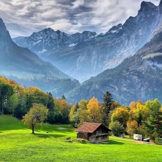 Telegram channel Nature status song|Shivam Aesthetic logo