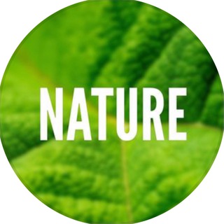 Логотип телеграм канала @nature_ua — Nature 🌏