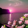 Логотип телеграм канала @nature55555 — Чудо-природа