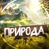 Telegram channel Nature 🗺️ | Природа | Красивые Видео Путешествия logo