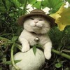 Логотип телеграм канала @natureeworld — Nature | Природа 🌿