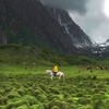 Logo of telegram channel naturelimage — LA NATURE ET SES MERVEILLES 🌃