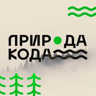 Логотип телеграм канала @natureofcode — <Природа кода> X5 Tech 🏕