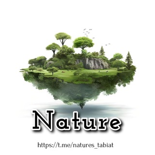 Telegram kanalining logotibi natures_tabiat — Nature (tabiat)🌿