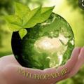 Logo de la chaîne télégraphique naturopathiesantebienetre - NATUROPATHIE holistique