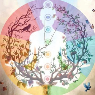 Logo des Telegrammkanals naturseele - 🌹🍃NaturSeele 🍃🌹