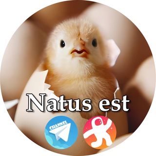 Telegram channel Natus est IT logo