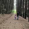 Логотип телеграм канала @naugorsky_avitolog — Naugorsky | 🌎 Мир Авитолога