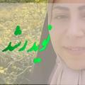 لوگوی کانال تلگرام navidroshd1400 — نوید رشد🌱