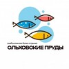 Логотип телеграм канала @navode3 — Ольховские пруды