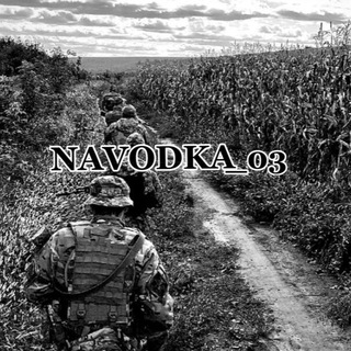 Логотип телеграм канала @navodka_03 — navodka.03
