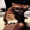 Логотип телеграм канала @naxatesnoopx — На Хате SnoopX
