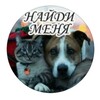 Логотип телеграм канала @naydi_men_ya — КАНАЛ Найди меня 🐶🐈🐾 ХАБАРОВСК
