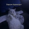 Логотип телеграм канала @nazbik_studio — NAZBIK STUDIO | КАЧЕСТВЕННЫЙ КОНТЕНТ