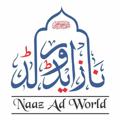 Telegram channel Naz Salah Times Project logo