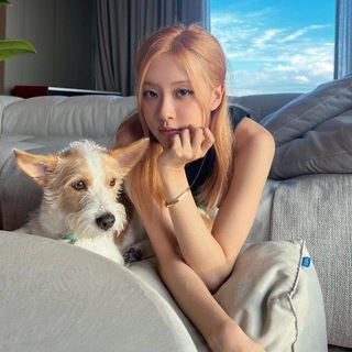 Логотип телеграм канала @ncarnival — jocean