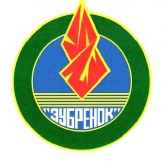 Лагатып тэлеграм-канала ncc_zubronok — НДЦ «Зубренок» 🦬