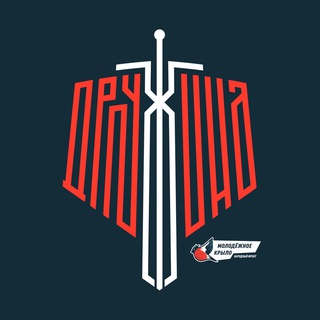 Логотип телеграм канала @nddnr — Народная Дружина