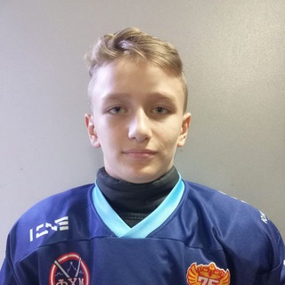 Логотип телеграм канала @ndhl_shepelev — НДХЛ- Шепелев Владислав